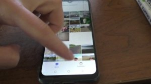 Как в умной камере яндекс браузере узнать какой гриб нашел?