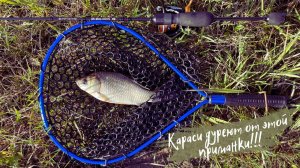 Приятные караси на мормышинг в исполнении Nano One SE от CF.