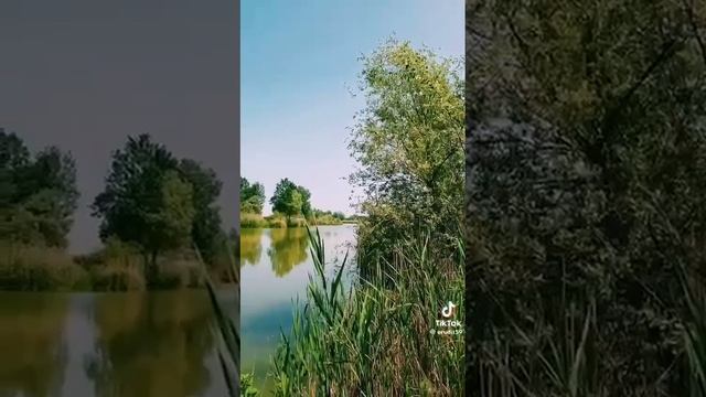 Ах эта жизнь...
