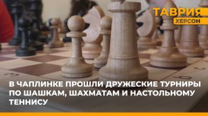 В Чаплинке прошли дружеские турниры по шашкам, шахматам и настольному теннису