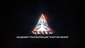 Отзывы