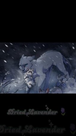 эдитек Blue satr🪻
ВИДЕО МОЕ