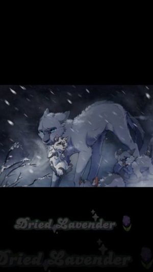 эдитек Blue satr🪻
ВИДЕО МОЕ