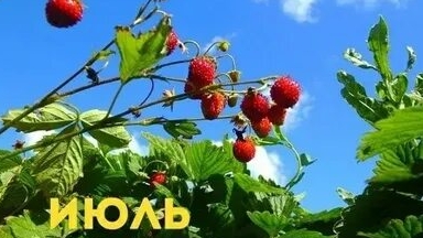 С июлем! Музыкальная открытка поздравление.