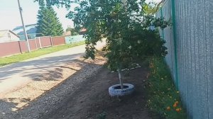 29.06.2025г./ // ХРОНИКА ДНЯ //
КАНАЛ ПРО ОБЫЧНУЮ СЕЛЬСКУЮ ЖИЗНЬ🏡🐓