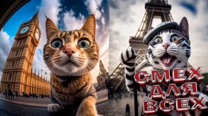 Подборка смешных котов, постарайтесь не засмеяться! 😂 Смешные видео с котами, снятые на камеру!