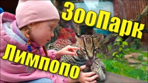 ЗооПарк Лимпопо 4к