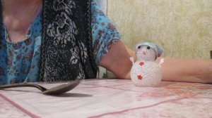 30.06 Шоколадный завтрак чипсы
