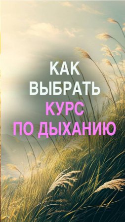 Сколько стоят курсы по дыханию