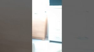 история с тренером злым