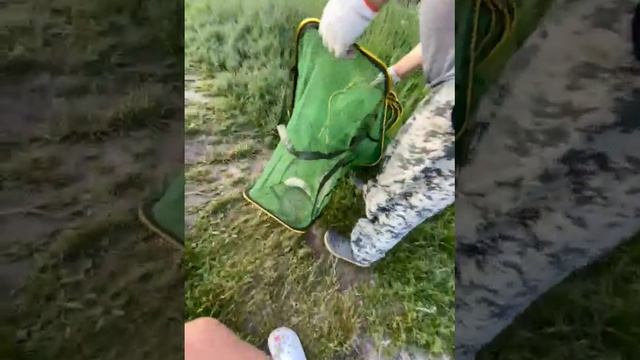 Рыбалка удалась