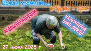Дожди приходят на выходные 27 июня 2025 г