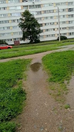 Куда это привело