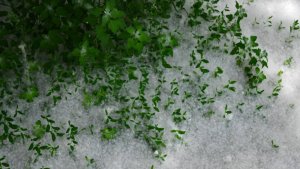 В Якутию вернулась зима