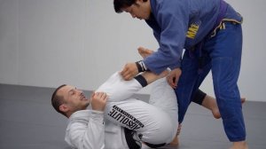3 - The Role of The Non-DLR Leg