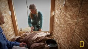 Taming the Wild Wolverine (Full Episode) | Dr. Oakley Yukon Vet | Nat Geo Animals