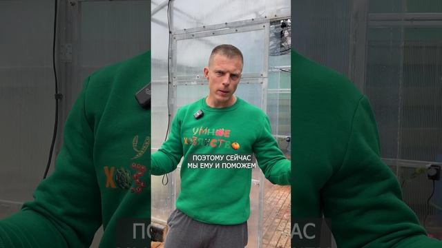 КАК УСКОРИТЬ РОСТ РАСТЕНИЙ?