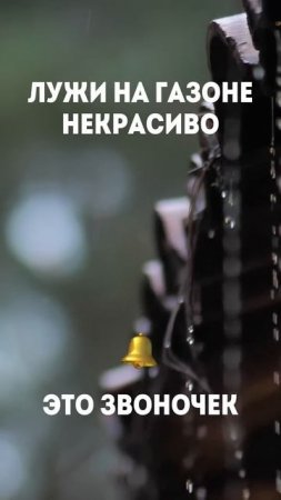 ❗️Лужи на газоне? Как от них избавиться? Рассказали в телеграмм - gazon_moscow