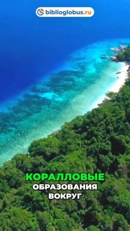 Симиланские острова — рай для дайверов и любителей моря в Таиланде 🐠🤿🌊 #shorts #Таиланд #Тай2025