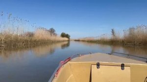 Рыбалка база Лебедь