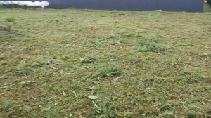 Сделала большое дело. Огород