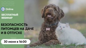 «Безопасность питомцев на даче и в отпуске»