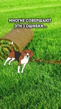 ❗️Переходи к нам в инстаграм- stroim.sad