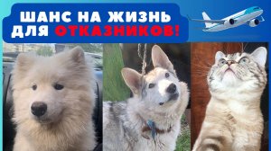 Отказники, нужны ли они кому-то... давайте дадим шанс!