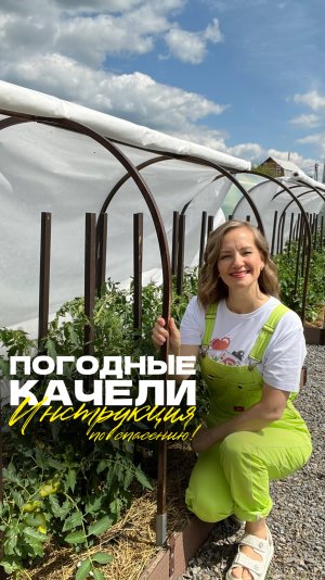 🌧 Что делать с овощными культурами после затяжных дождей?