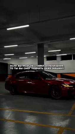 Ограничения только в твоей голове 🥷