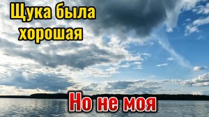 Выехала на рыбалку, а рыба ловится не у меня. Но не всё так плохо.