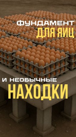 Делимся эмоциями и находками на строительных площадках! #работа #стройка #монтаж #сваи #фундамент