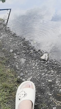 VID_20250630_125718.mp4