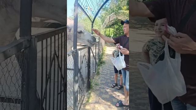 Ялтинский ЗООПАРК.