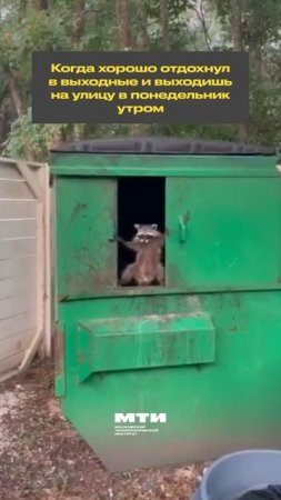 Вы или не вы сегодня?