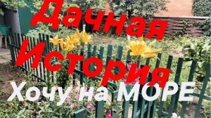 ДАЧНАЯ ИСТОРИЯ ! ХОЧУ НА МОРЕ В ДАГОМЫС!