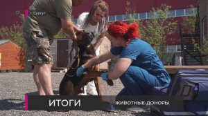 Животные-доноры - Сургут