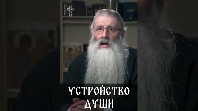 ☦️❤УСТРОЙСТВО ДУШИ!!!❤🕊️