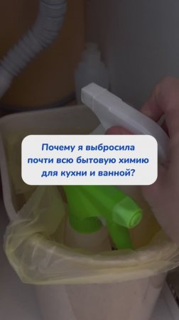 Почему я выбросила всю бытовую химию?