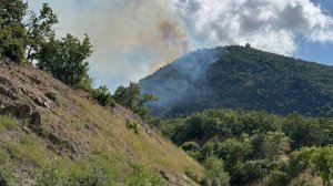 МЧС России локализовали крупнейший ландшафтный пожар в городском округе Алушта