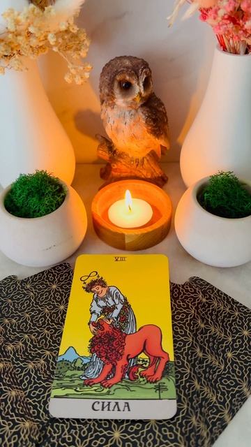 Прогноз на сегодня ⚡️