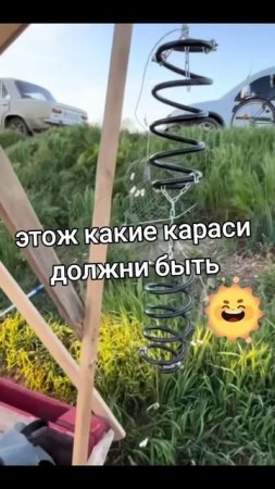 Убийца карася