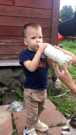 Козье молочко - нектар природы! #shorts #молоко
