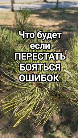 Что будет если перестать бояться ошибок