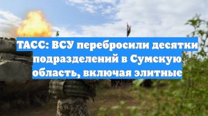 ТАСС: ВСУ перебросили десятки подразделений в Сумскую область, включая элитные