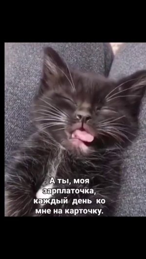 8d6a8c63e027737f218b67b234e41180.mp4