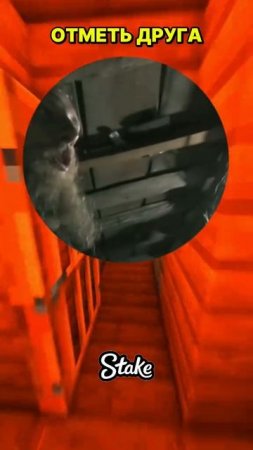 1000059722.mp4