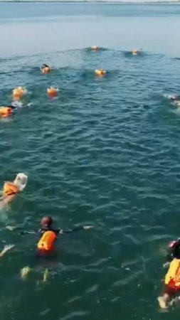 От бортика до открытой воды: мой путь в большое плавание
