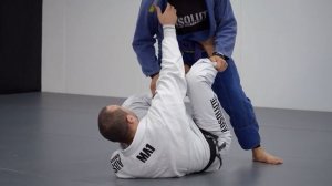 2 - The Role of The Arms
