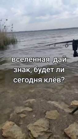 Дай знак